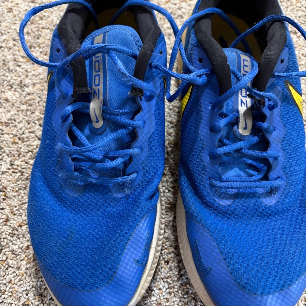 Nike Zoom Men's Blue Running Shoes